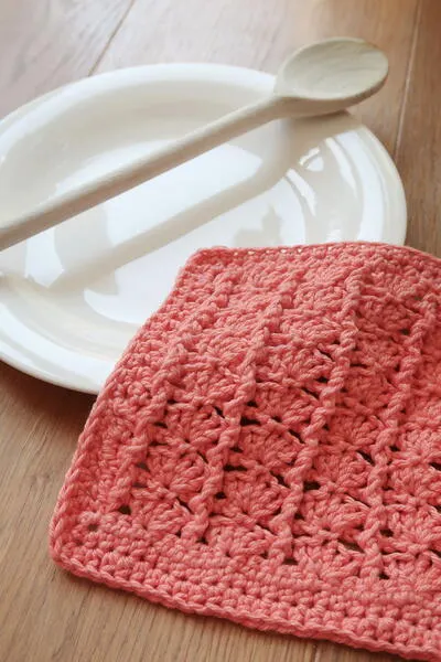 Shell Dishcloth