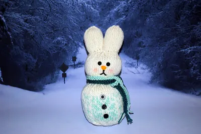 Snowbunny