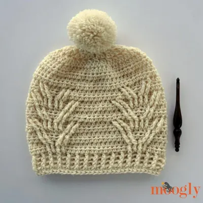 Staghorn Slouch (with Messy Bun Version)