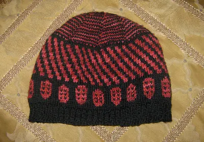 The Baby Ladybug Hat