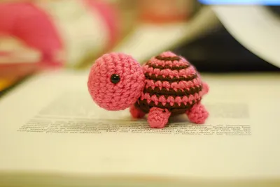 Tiny Striped Turtle