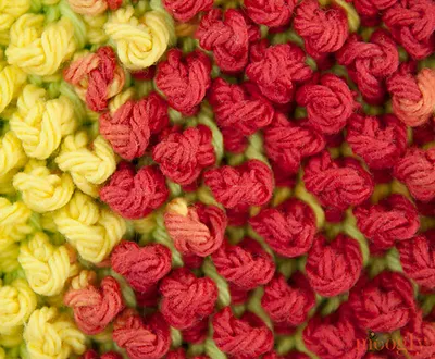 Tunisian Pebbles Dishcloth