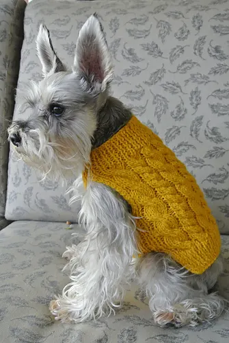 Tyler's Cabled Vest