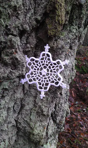 Vatnajökull Snowflake