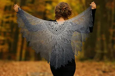 Wild Swan