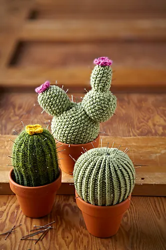 Woolly Cacti: One Pattern, Three Looks