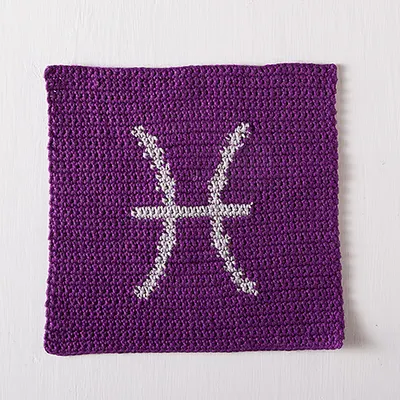 Zodiac Crochet Dishcloth Series - Pisces
