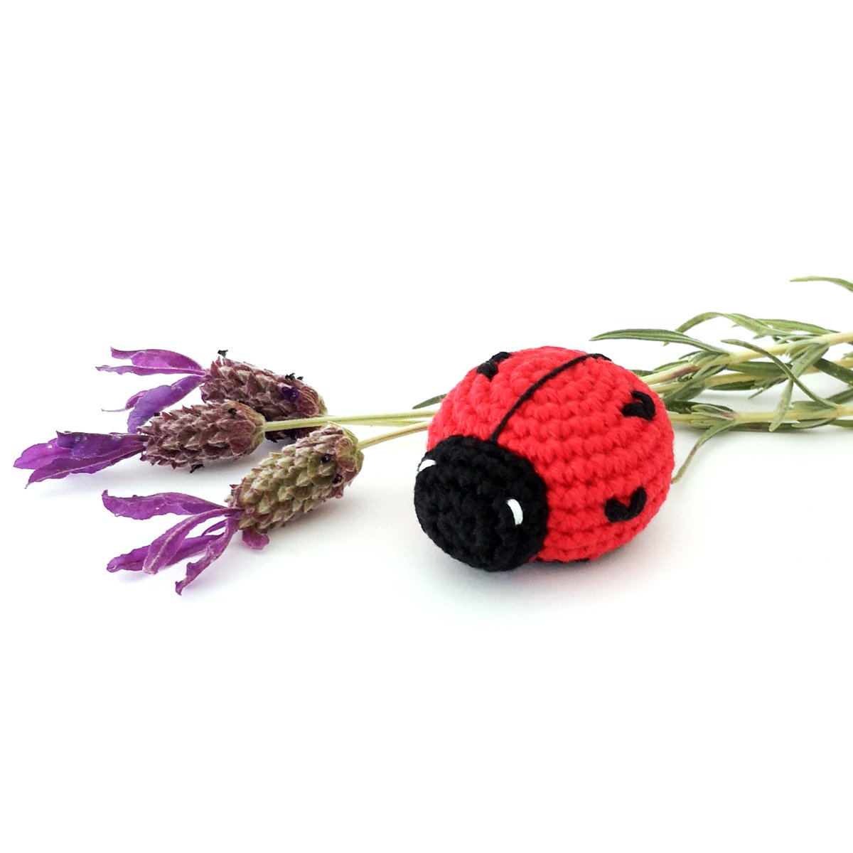 Love Bug photo 2