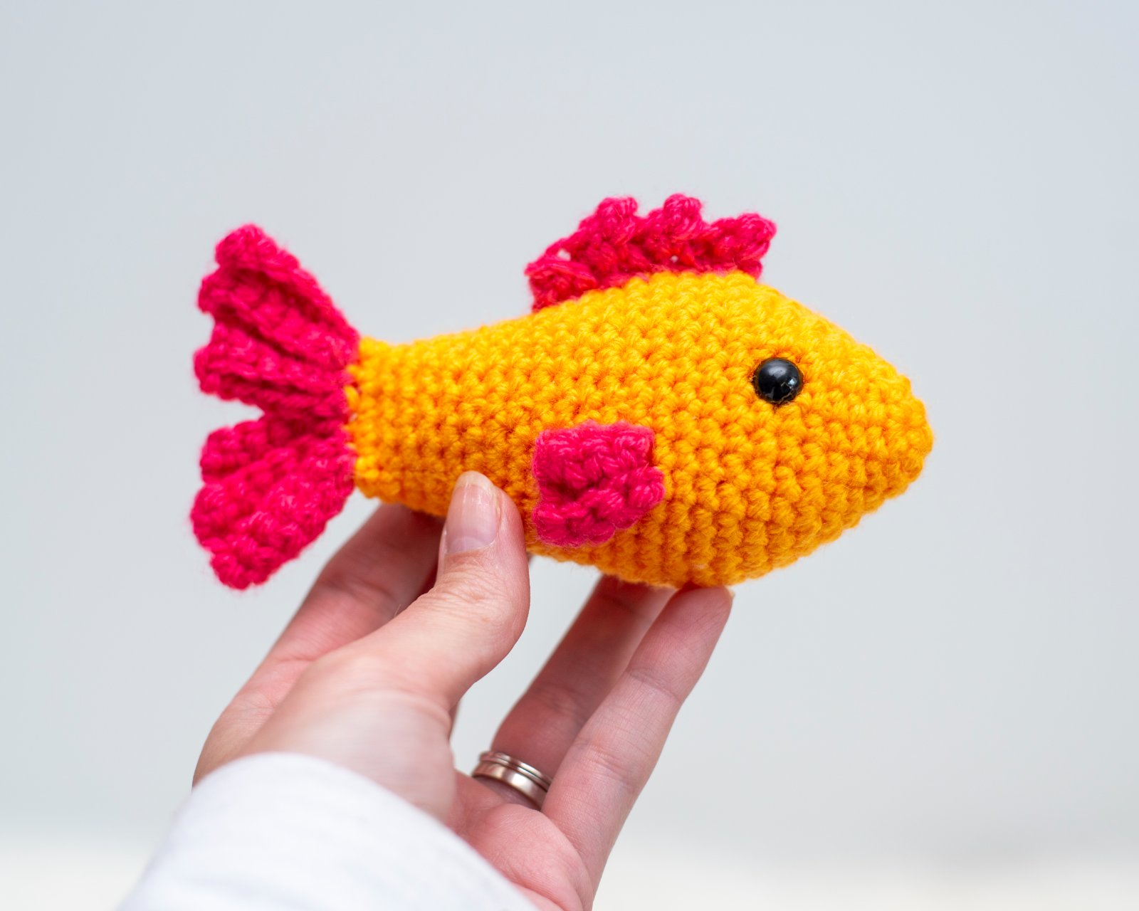 Finley the Fish photo 3