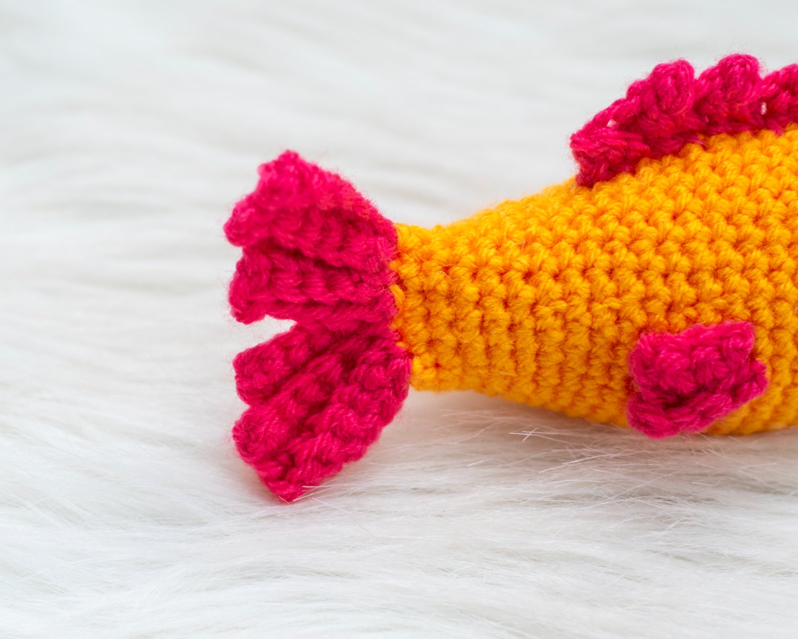 Finley the Fish photo 4