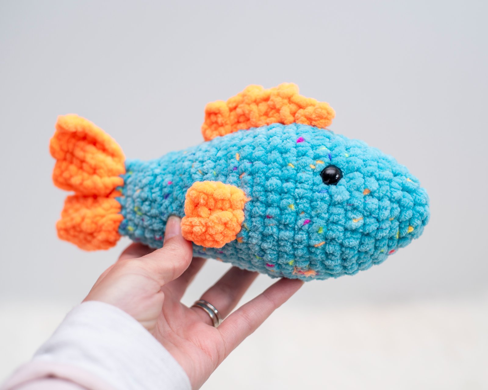 Finley the Fish photo 5