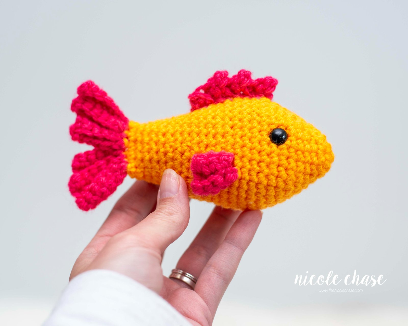 Finley the Fish photo 3