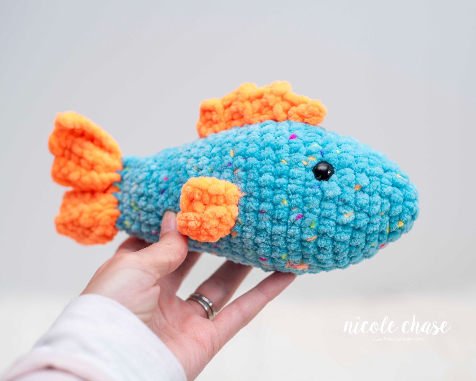 Finley the Fish photo 4