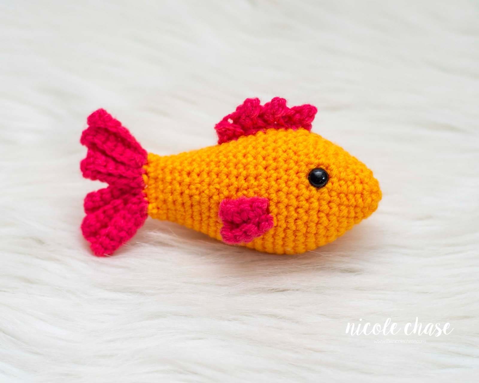 Finley the Fish photo 2