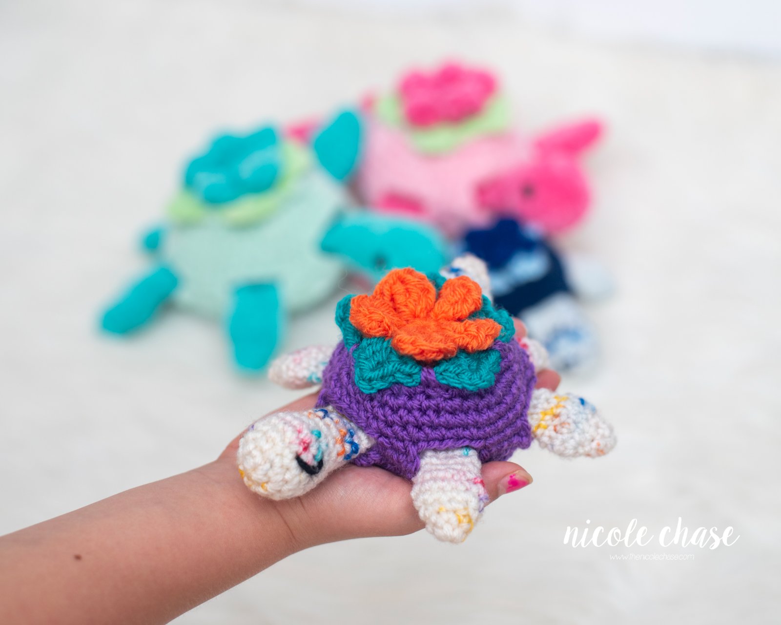 Nala the Turtle photo 2