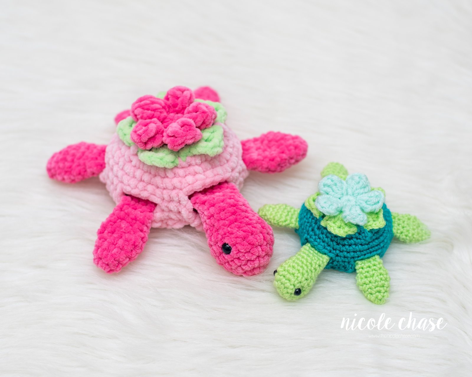 Nala the Turtle photo 3