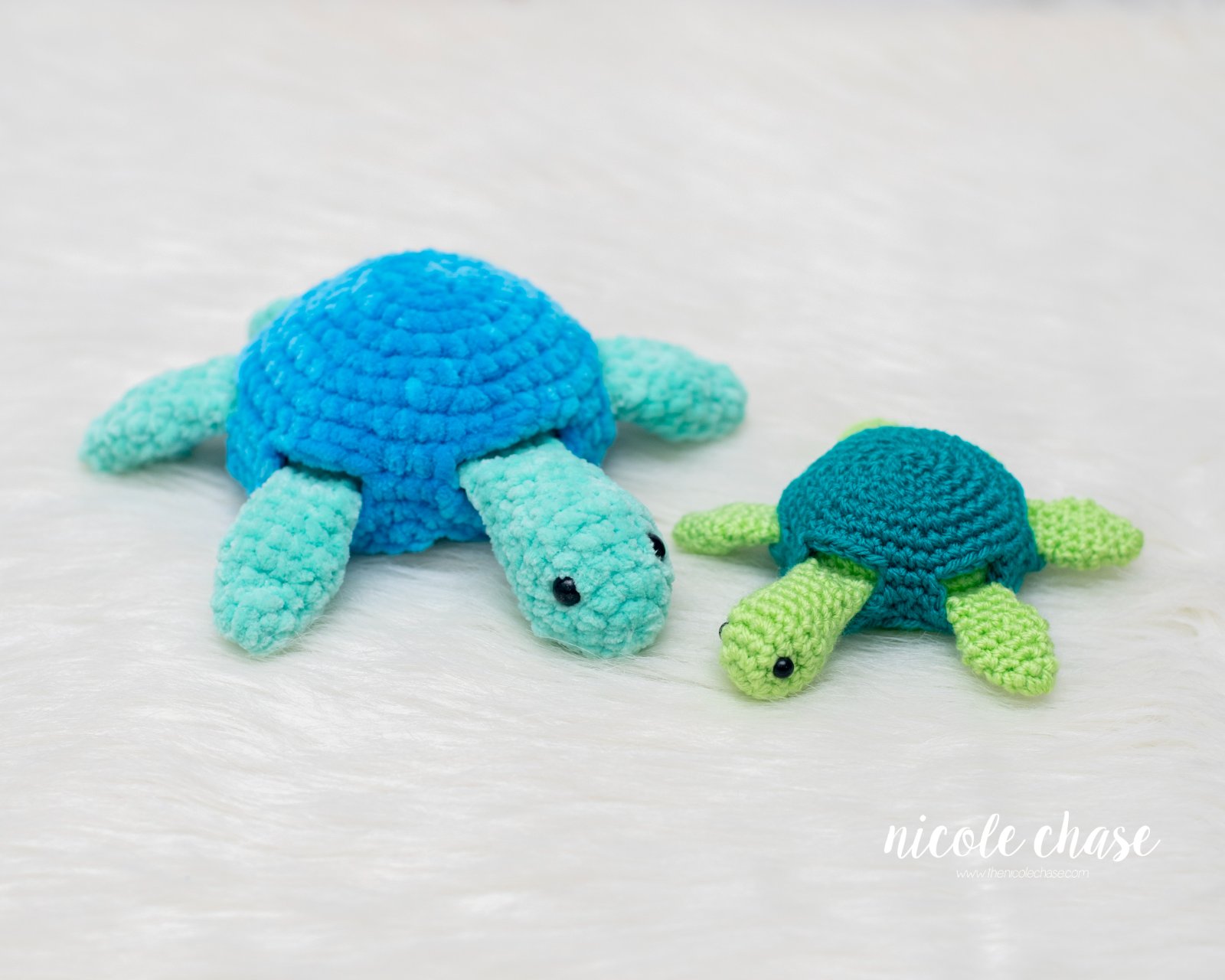 Nala the Turtle photo 4