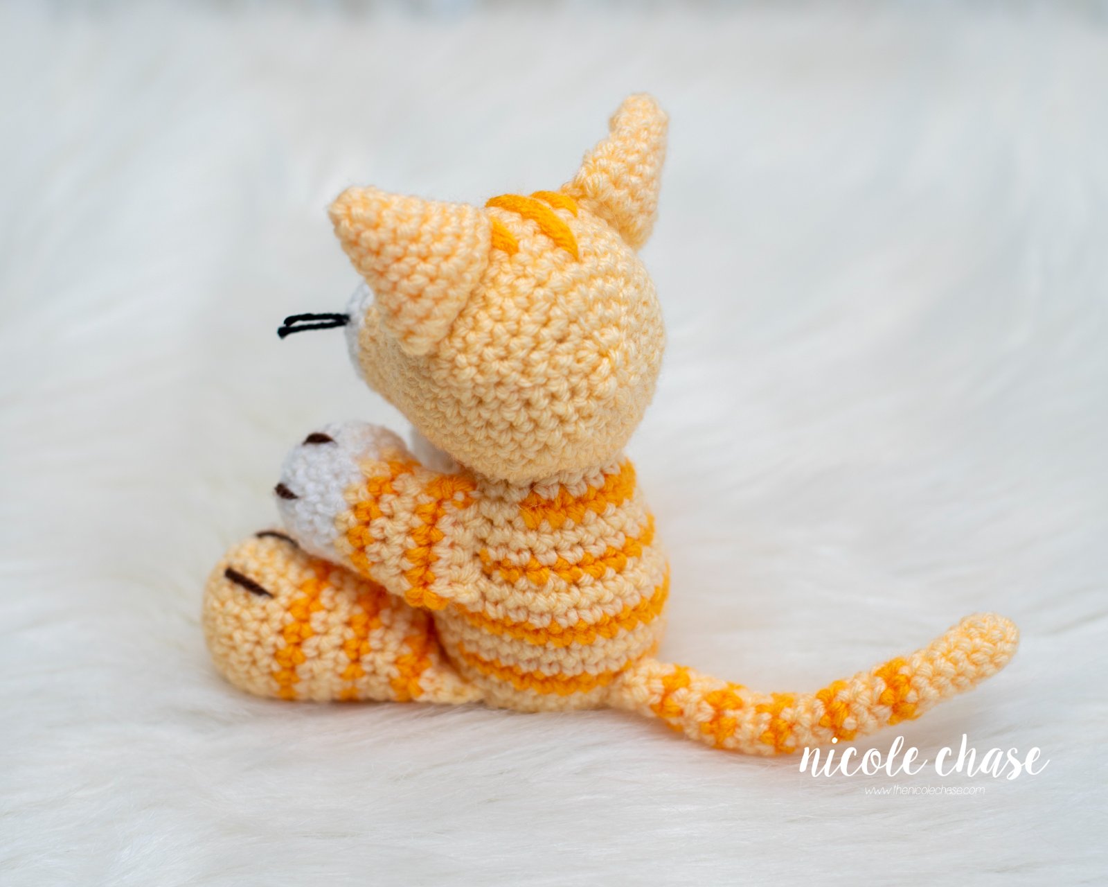 Cooper the Cat photo 4