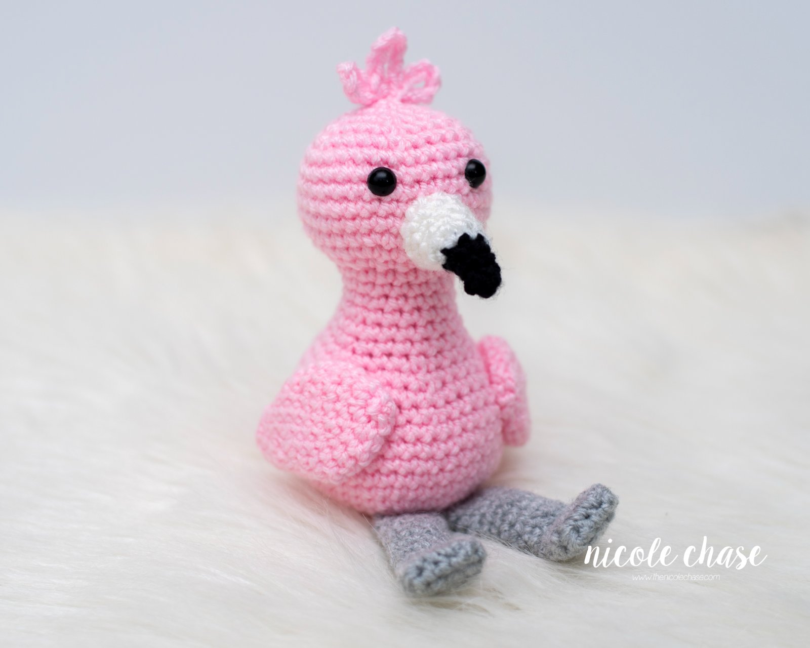 Flora the Flamingo photo 2
