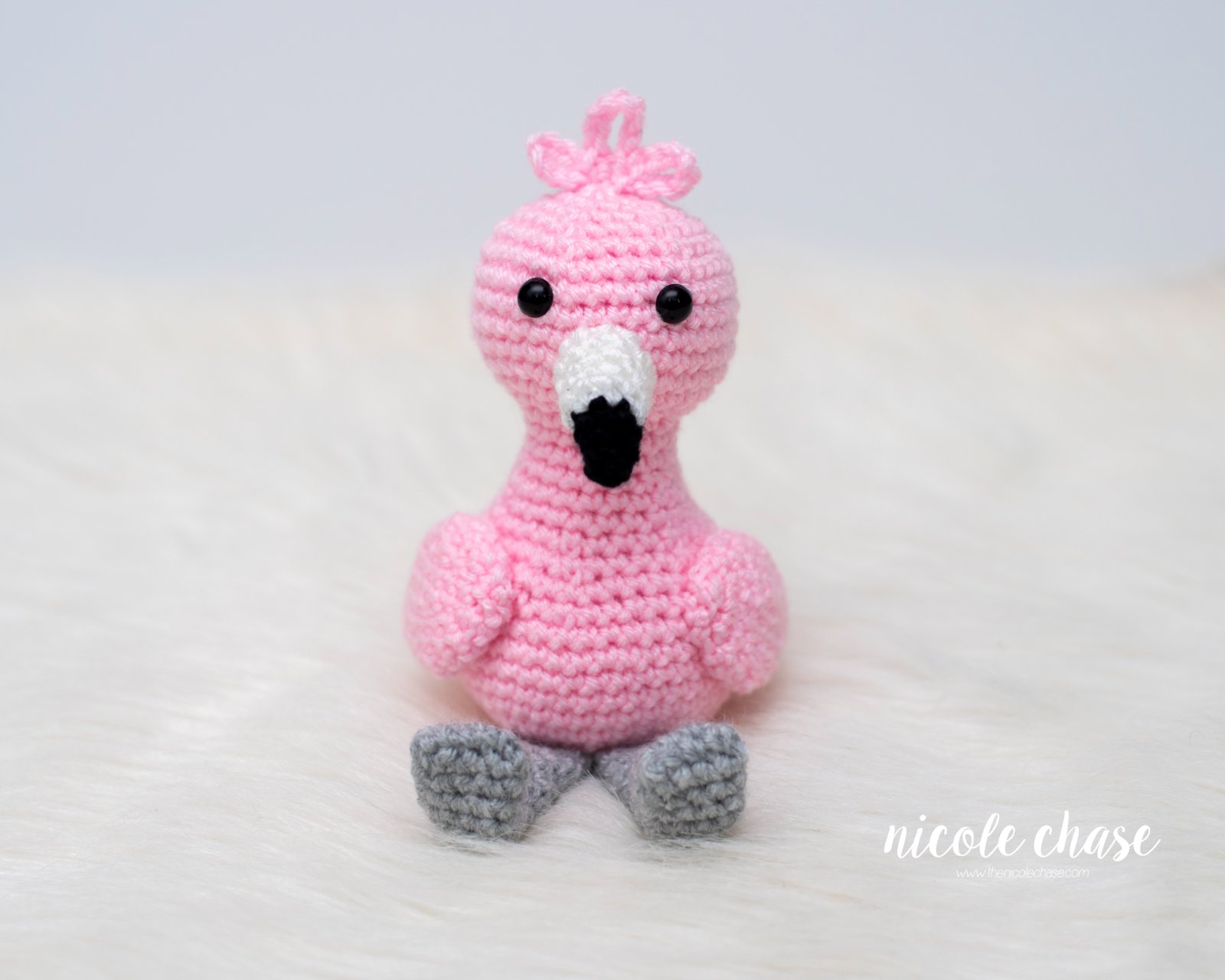 Flora the Flamingo photo 3