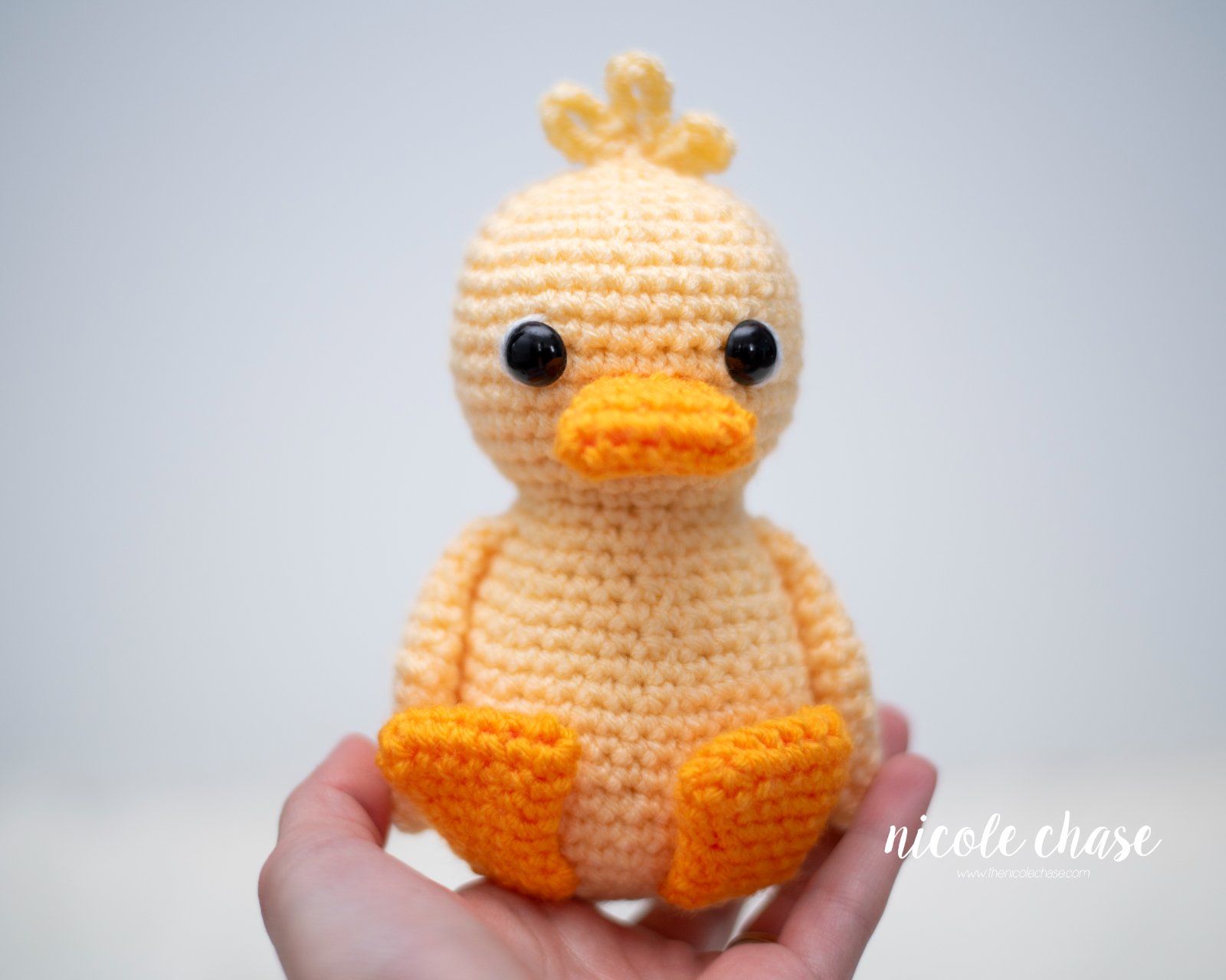 Daphne the Duck photo 4