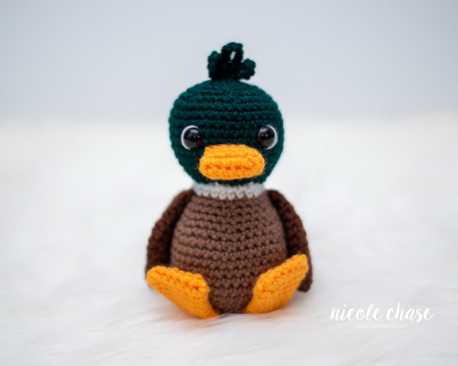 Daphne the Duck photo 2