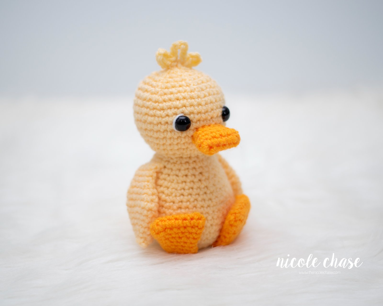 Daphne the Duck photo 3