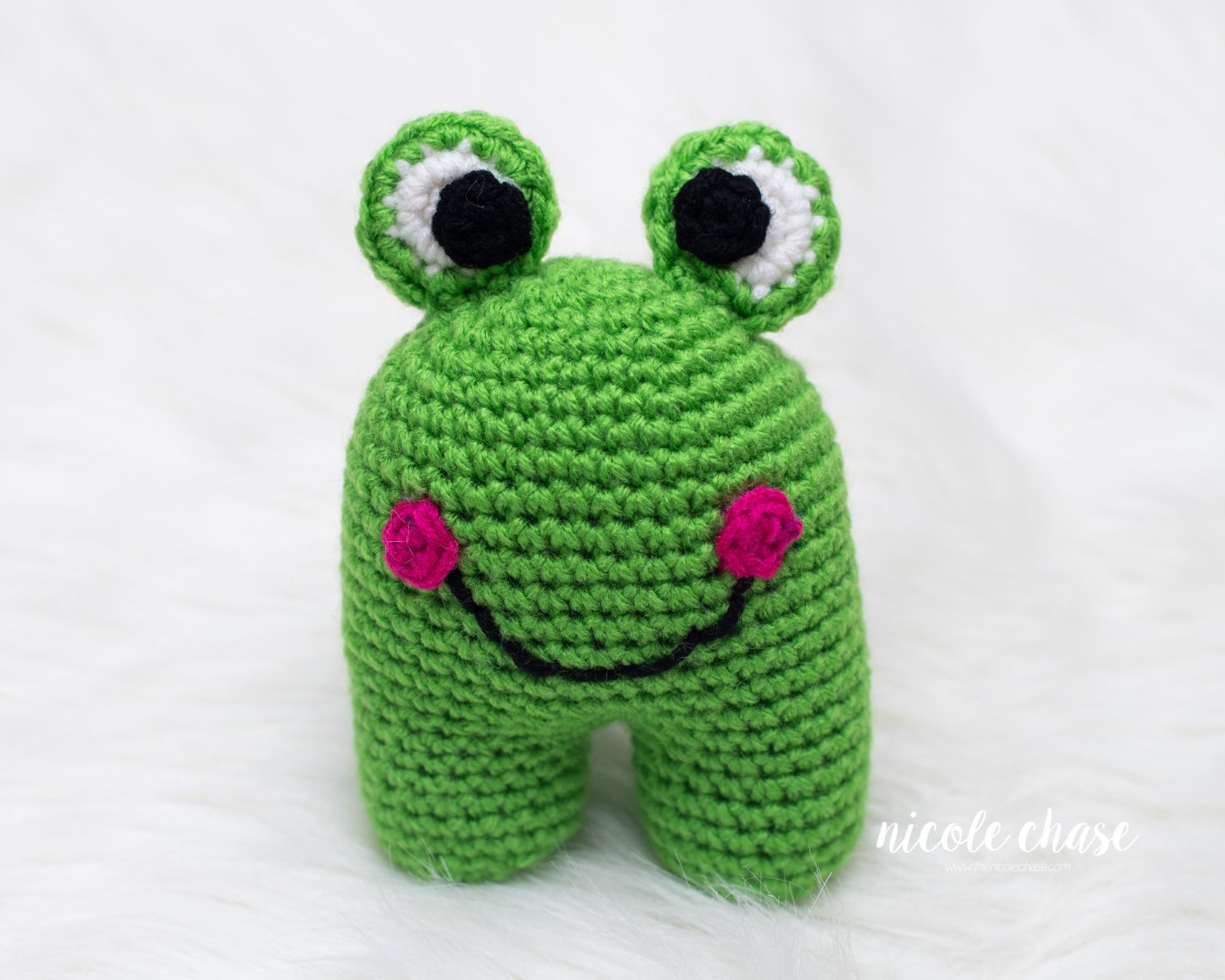 Frankie the Frog photo 4