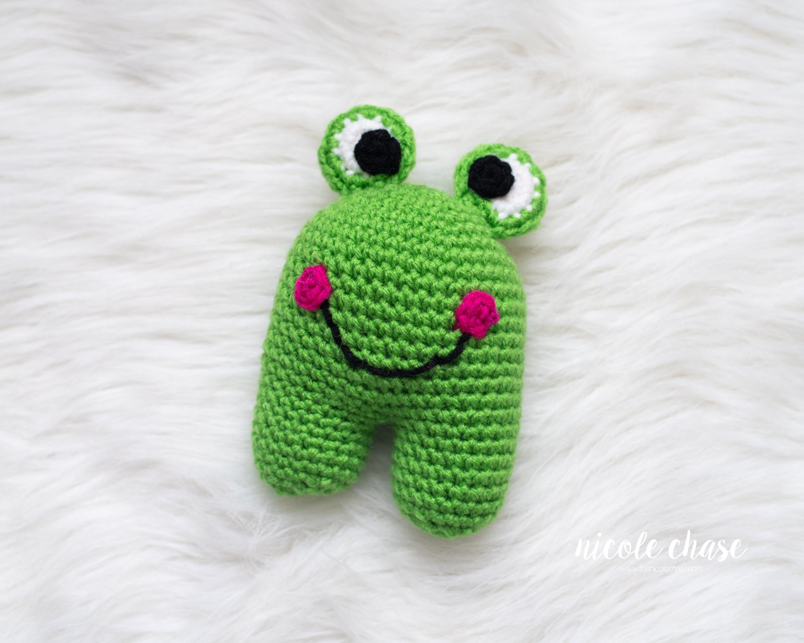 Frankie the Frog photo 2