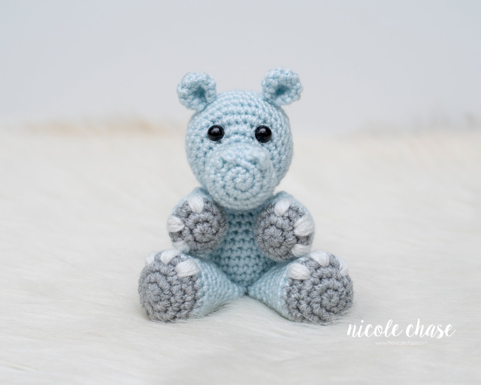 Henry the Hippo photo 3