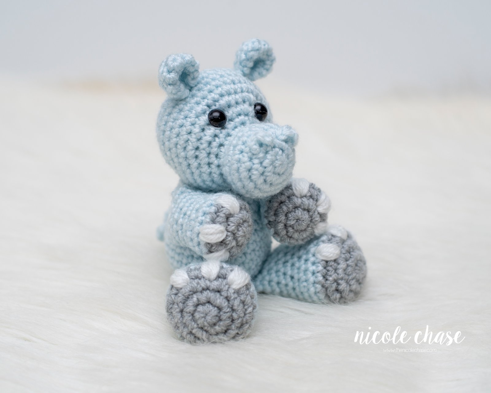 Henry the Hippo photo 4