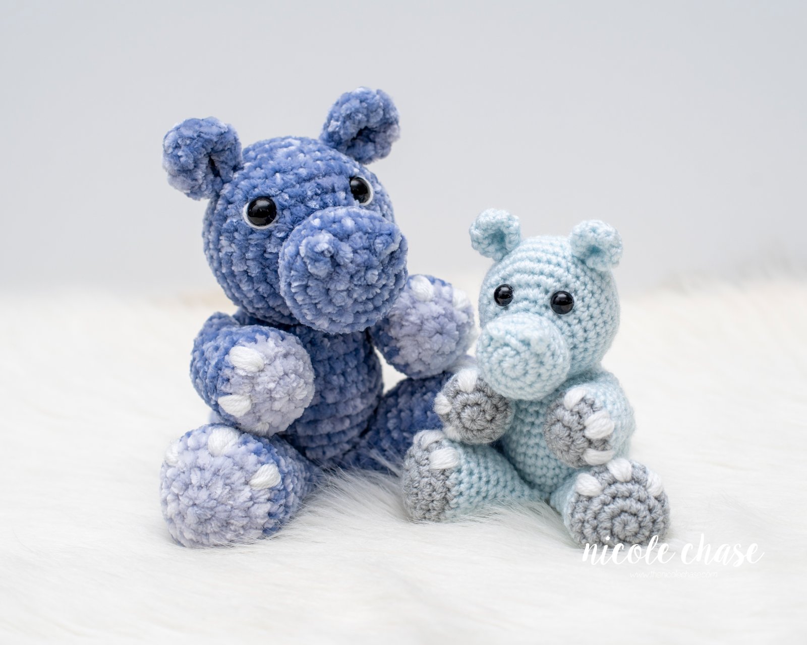 Henry the Hippo photo 2