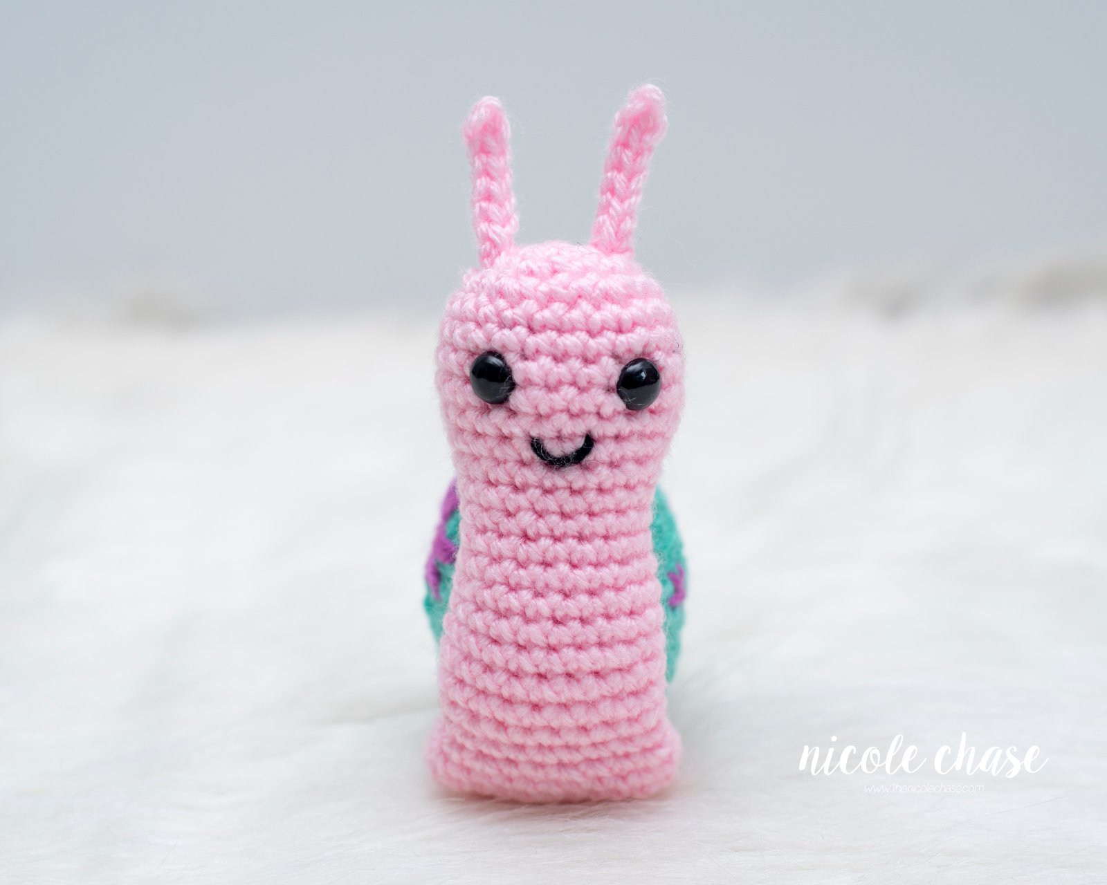 Shelly the Snail photo 2