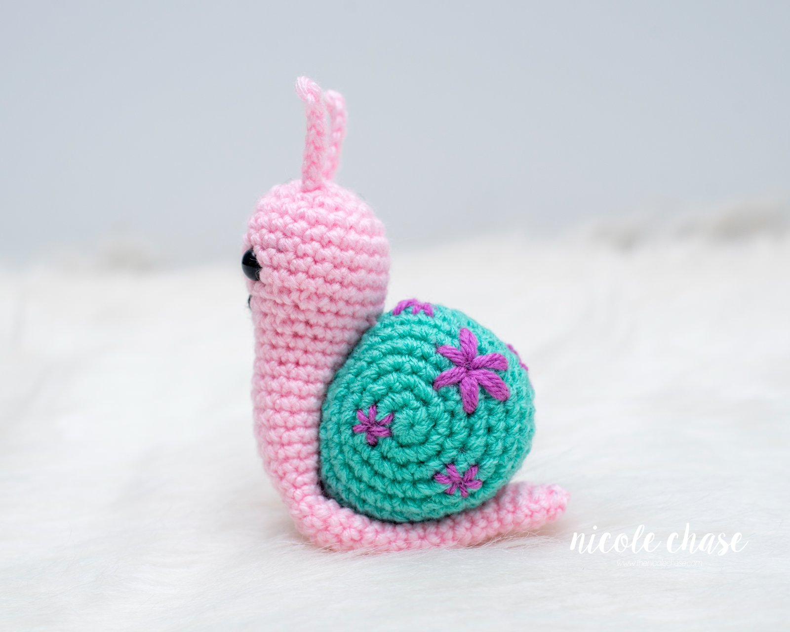 Shelly the Snail photo 3