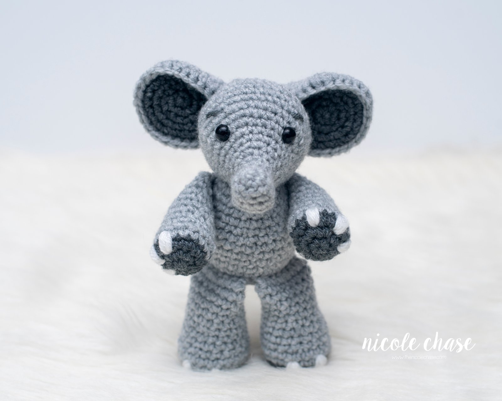 Elliot the Elephant photo 2