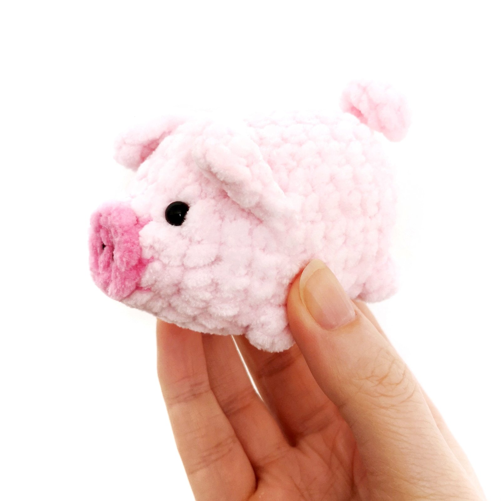 Pig