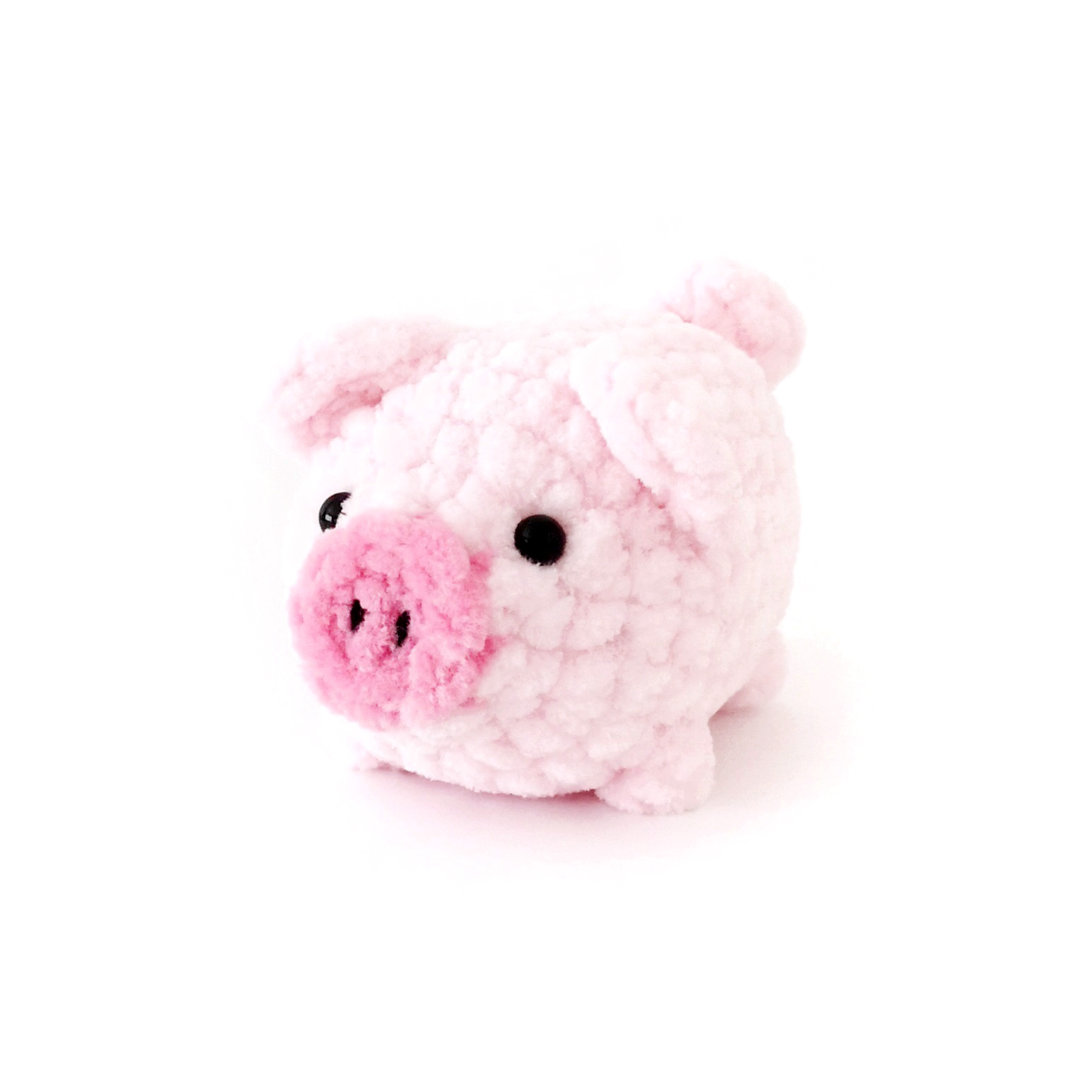 Pig photo 3