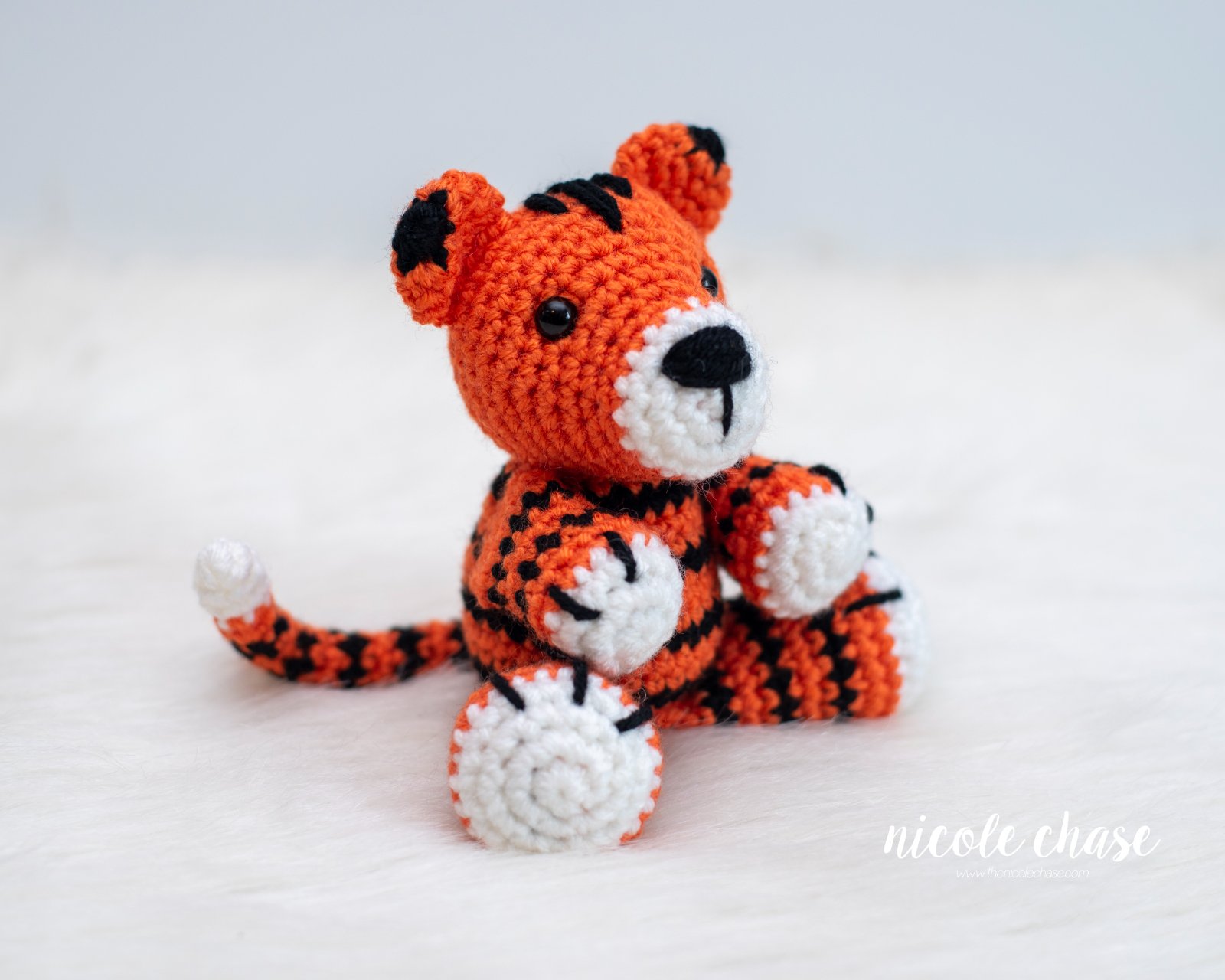 Terry the Tiger photo 1
