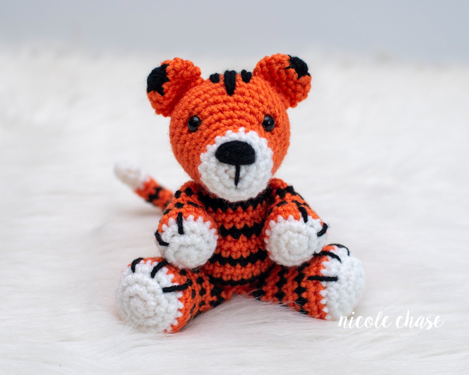 Terry the Tiger photo 2