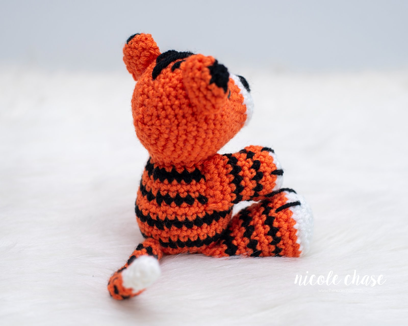 Terry the Tiger photo 3