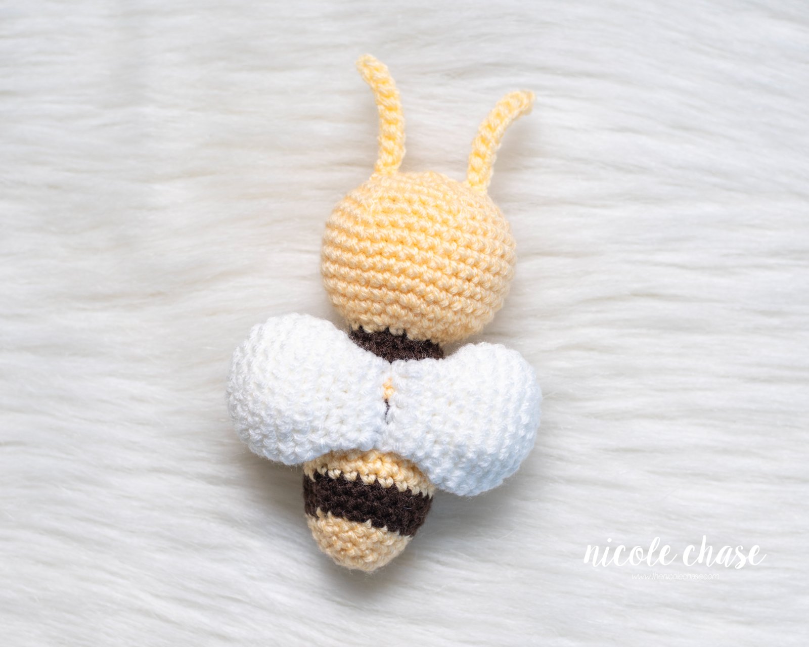 Benny the Bee photo 3