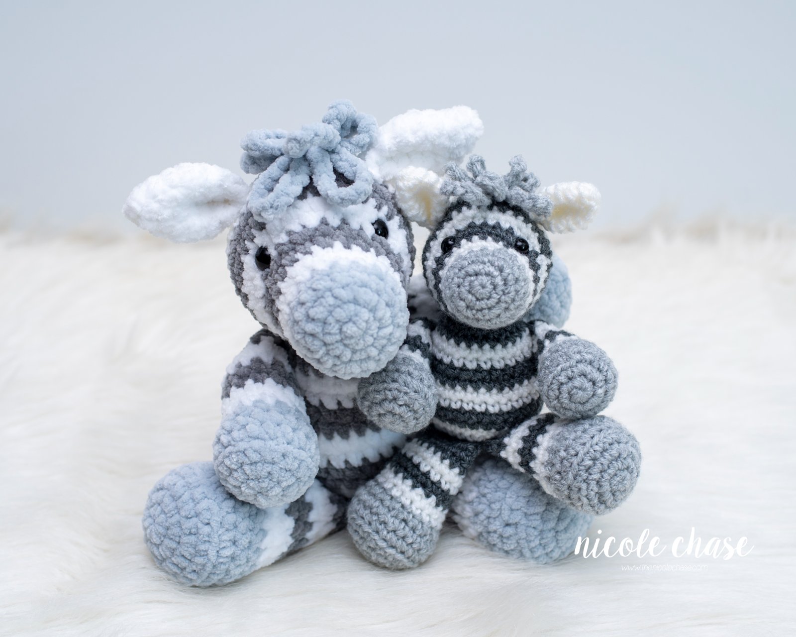 Zoey the Zebra photo 1