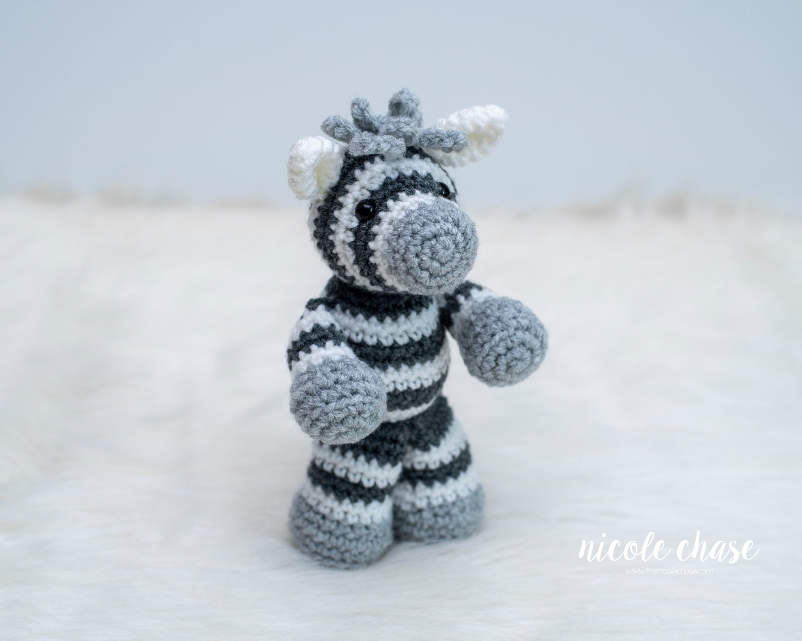 Zoey the Zebra photo 3