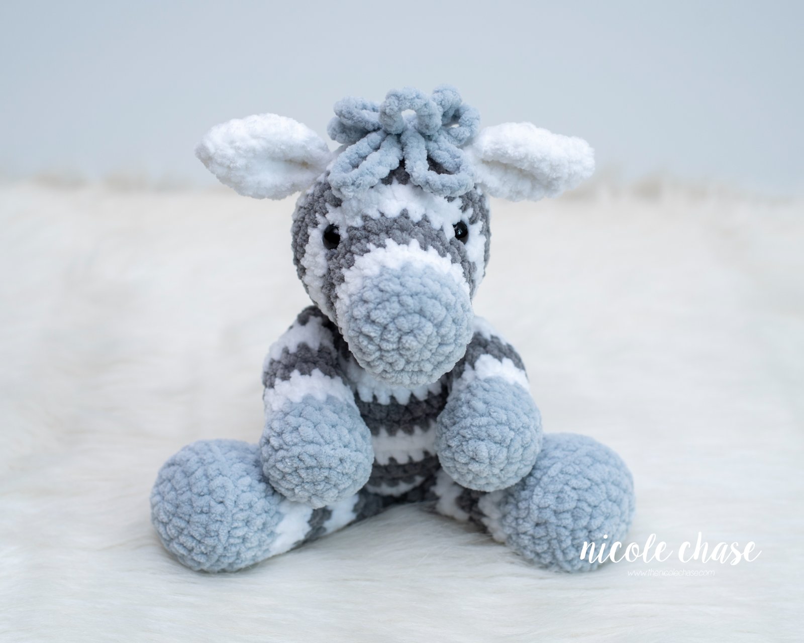 Zoey the Zebra photo 4