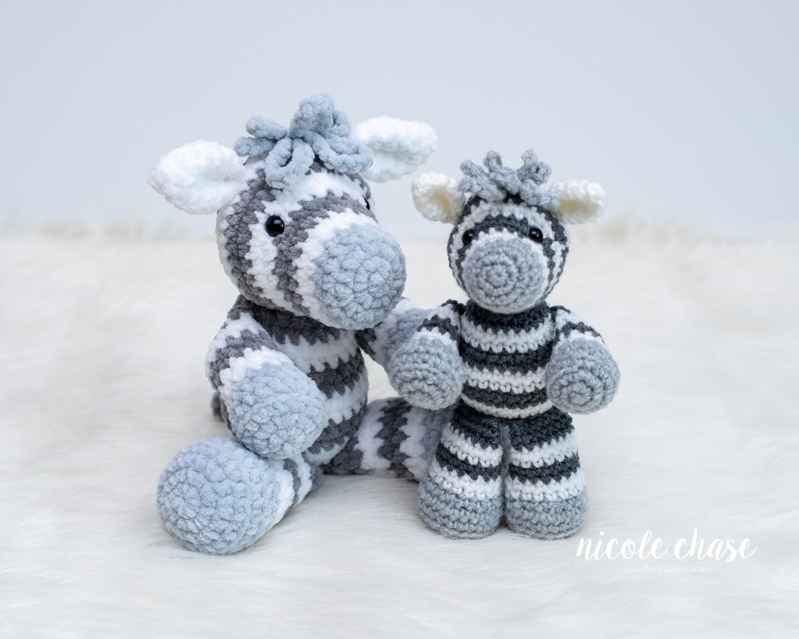 Zoey the Zebra photo 5