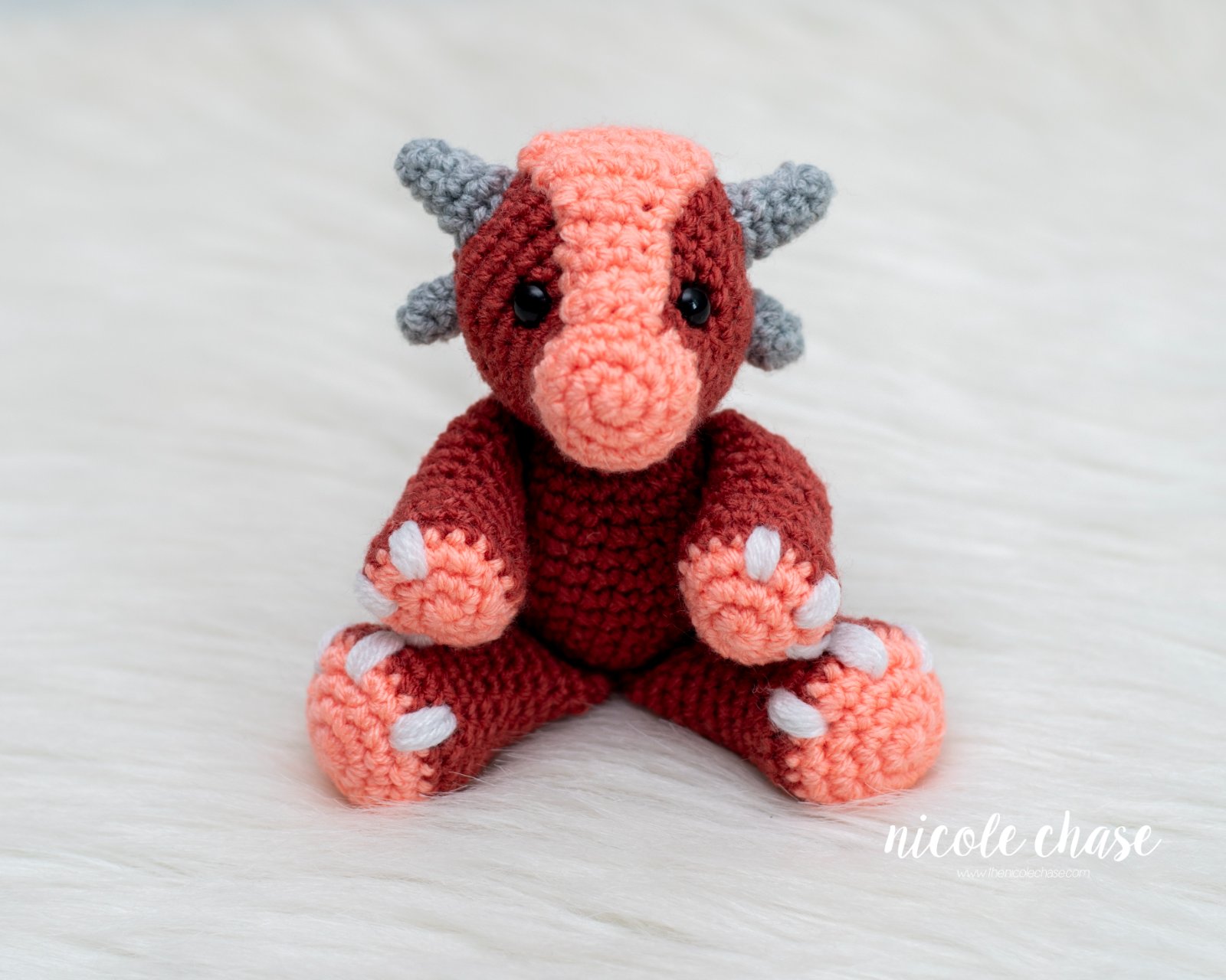 Mini Archie the Ankylosaurus photo 2