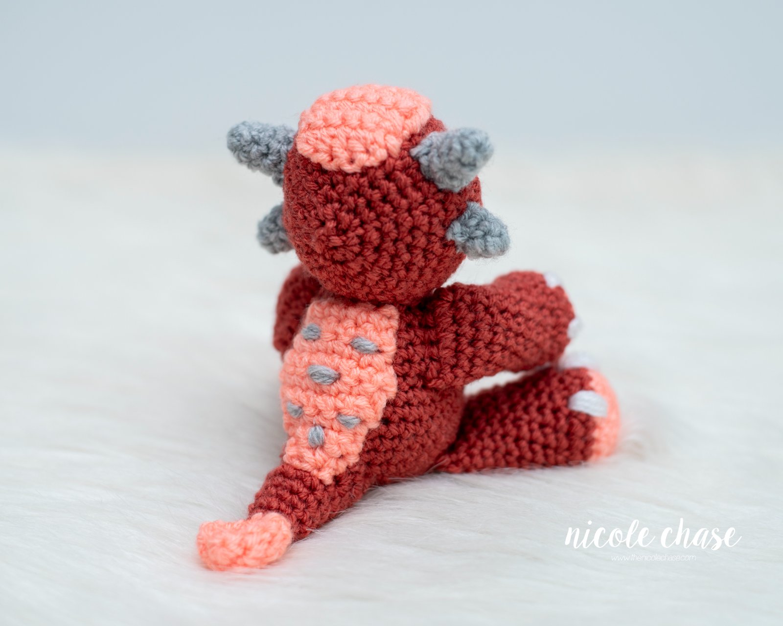 Mini Archie the Ankylosaurus photo 3