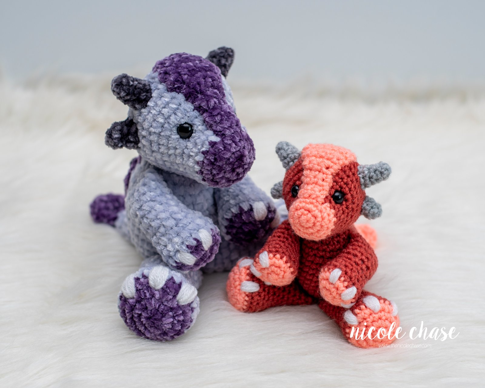 Mini Archie the Ankylosaurus photo 5