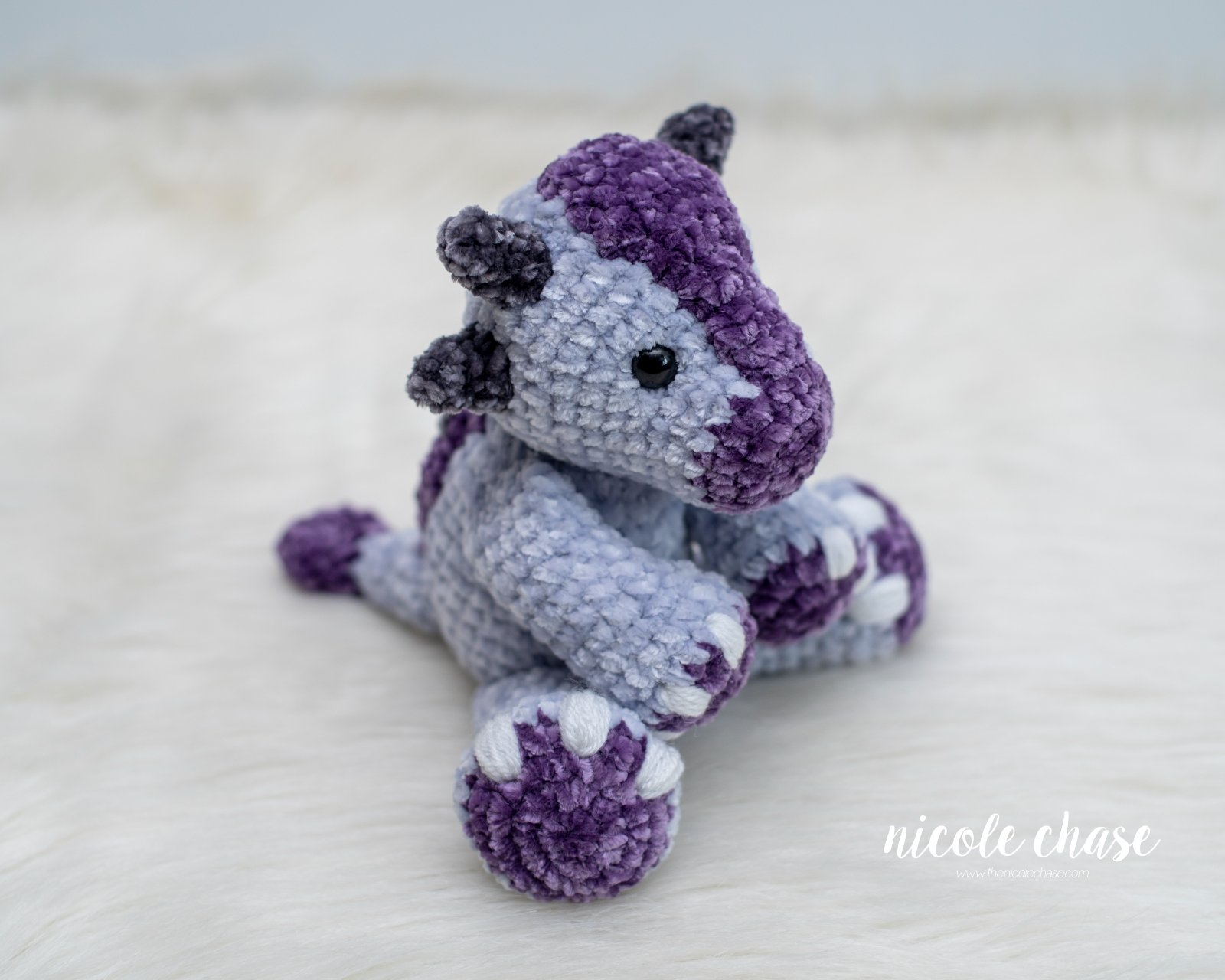 Mini Archie the Ankylosaurus photo 4