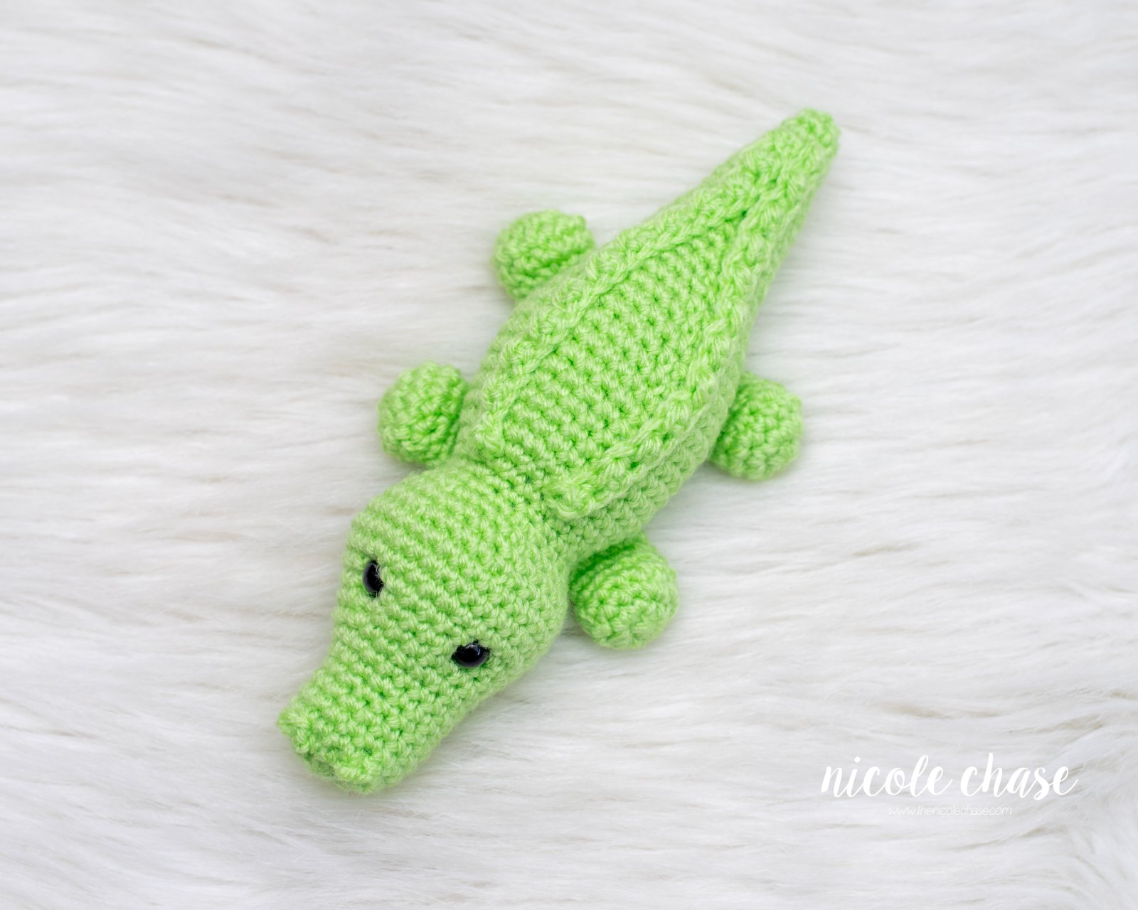 Alan the Alligator photo 3